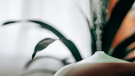 Why Scent is the Fastest Path to Emotional Change