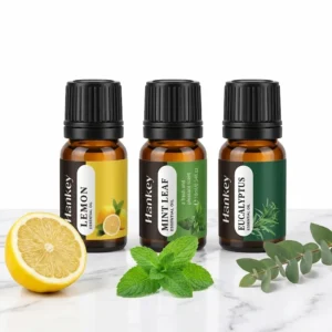 The Focus Flow Collection