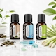 Fresh Air Essential Oil Trio