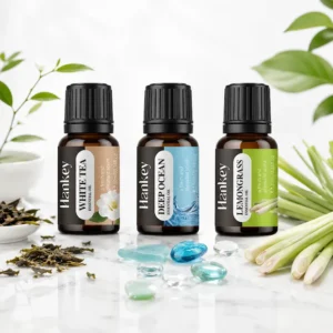 The Fresh Air Collection