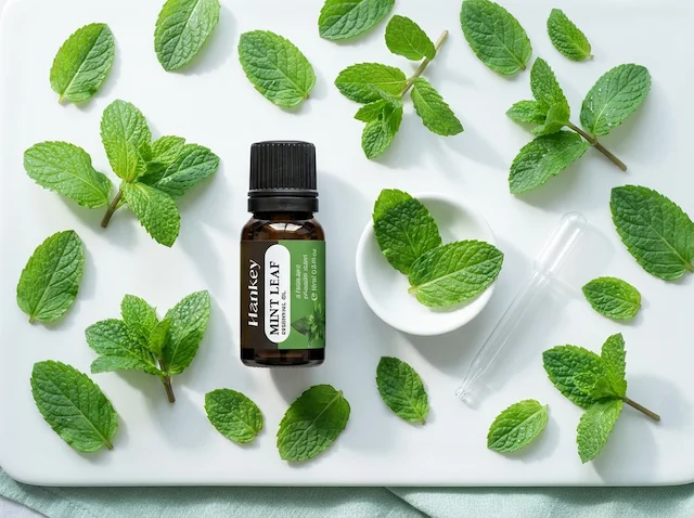 Mint Leaf oil bottle with fresh mint leaves, clean natural light